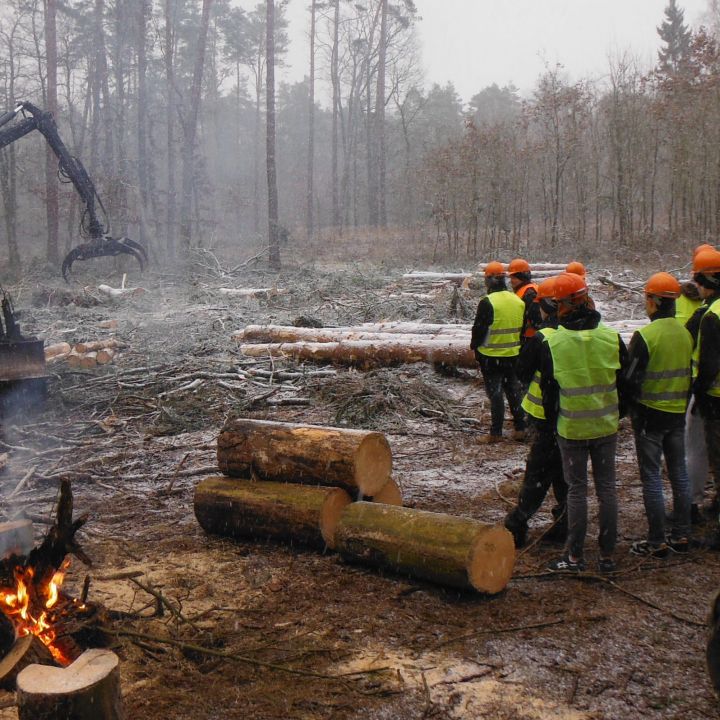 Kurs konserwatorów żurawi leśych